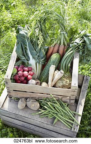 Stock Image - different vegetables in crate. Fotosearch