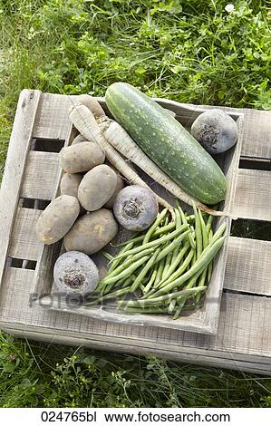 Stock Image - different vegetables in crate. Fotosearch