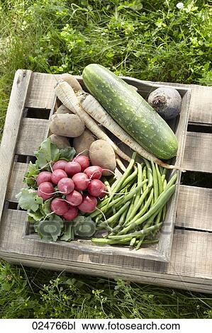 different vegetables in crate View Large Photo Image Stock Image - different vegetables in crate. Fotosearch