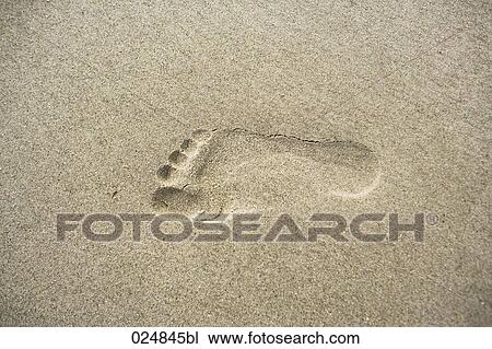 footprint in sand View Large Photo Image Stock Image - footprint in sand. Fotosearch