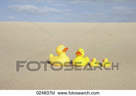 four rubber ducks on sandy beach View Large Photo Image Stock Image - four rubber ducks on sandy beach. Fotosearch