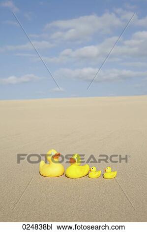 four rubber ducks on sandy beach View Large Photo Image Stock Image - four rubber ducks on sandy beach. Fotosearch
