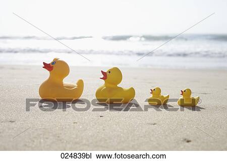 four rubber ducks on sandy beach View Large Photo Image Stock Image - four rubber ducks on sandy beach. Fotosearch