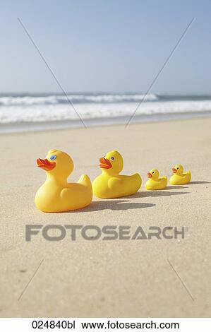 four rubber ducks on sandy beach View Large Photo Image Stock Image - four rubber ducks on sandy beach. Fotosearch