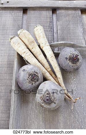 parsnip and beetroot on tray View Large Photo Image Stock Image - parsnip and beetroot on tray. Fotosearch