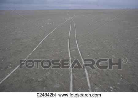 traces in sand on beach View Large Photo Image Stock Image - traces in sand on beach. Fotosearch