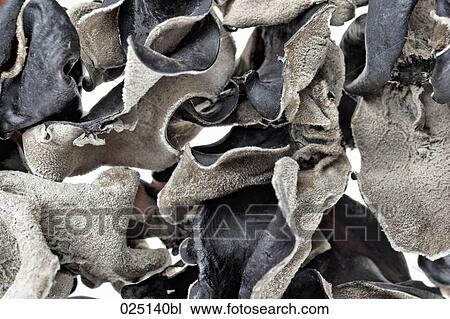 Stock Image - close-up of black fungi. Fotosearch