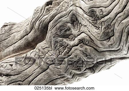 Stock Image - close-up of opuwa wood. Fotosearch