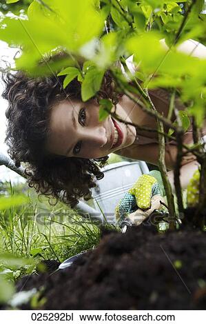 Stock Image - portrait of young woman planting a plant in the garden. Fotosearch