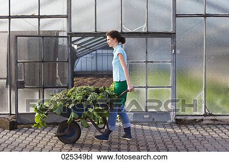 Stock Image - portrait of young woman working in nursery. Fotosearch