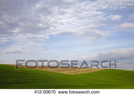 Clouds in blue sky over rolling hillside View Large Photo Image Stock Image - Clouds in blue sky over rolling hillside. Fotosearch