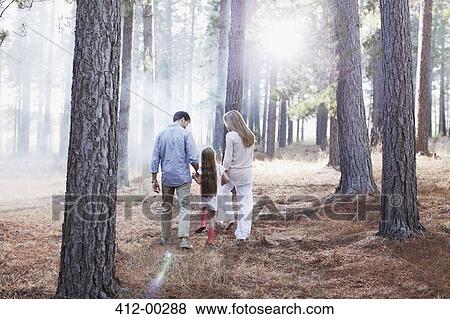 Family holding hands and walking in sunny woods View Large Photo Image Stock Photo - Family holding hands and walking in sunny woods. Fotosearch