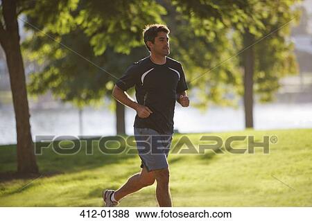 Man jogging in park View Large Photo Image Stock Photo - Man jogging in park. Fotosearch