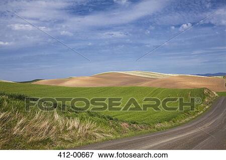 Road along rolling landscape View Large Photo Image Stock Photo - Road along rolling landscape. Fotosearch