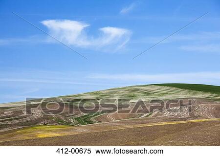 Rolling hills View Large Photo Image Stock Photography - Rolling hills. Fotosearch
