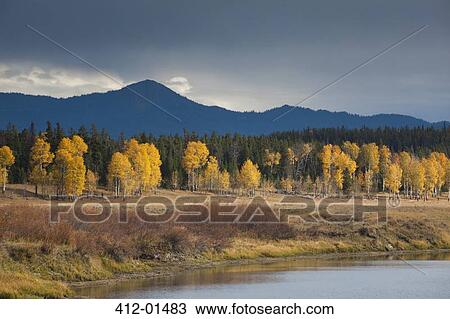 Stock Image - Autumn trees in rural landscape. Fotosearch