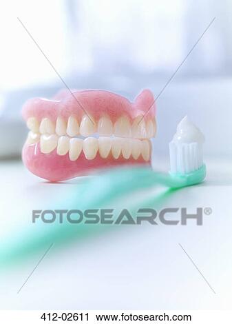 Close up of dentures and toothbrush View Large Photo Image Stock Image - Close up of dentures and toothbrush. Fotosearch
