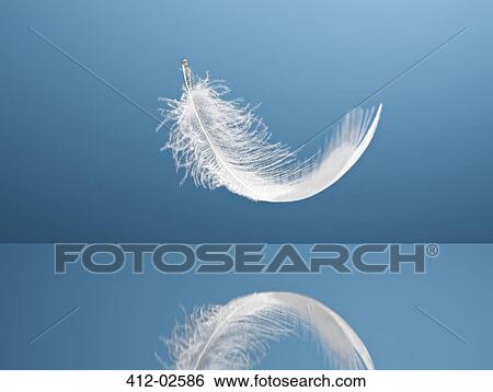 Stock Photograph - Feather floating over reflective surface. Fotosearch