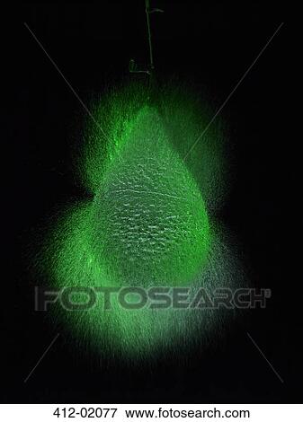 High speed image of water balloon popping View Large Photo Image Stock Photo - High speed image of water balloon popping. Fotosearch