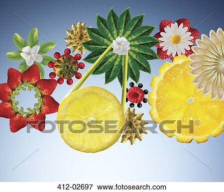 Illustration of fruits and vegetables in flower shapes View Large Photo Image Stock Photo - Illustration of fruits and vegetables in flower shapes. Fotosearch