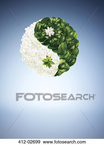 Illustration of leaves in yin yang shape View Large Photo Image Stock Photo - Illustration of leaves in yin yang shape. Fotosearch