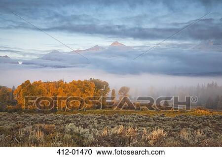 Stock Image - Mist over rural landscape. Fotosearch