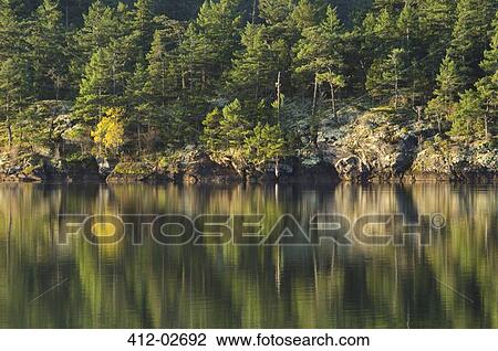 Stock Image - Rural landscape reflected in still lake. Fotosearch