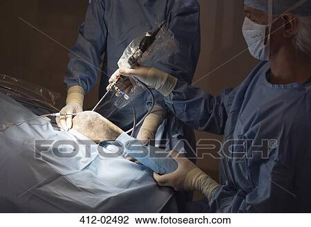 Stock Image - Surgeons at work in veterinary operating theater. Fotosearch