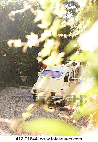 Yellow car obscured by leaves View Large Photo Image Picture - Yellow car obscured by leaves. Fotosearch