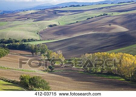 Aerial view of fields in rural landscape View Large Photo Image Stock Photography - Aerial view of fields in rural landscape. Fotosearch