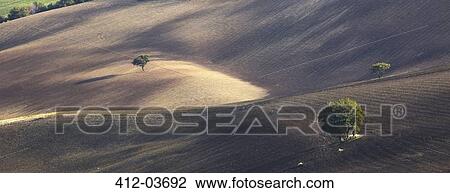 Trees growing in dry rural landscape View Large Photo Image Stock Image - Trees growing in dry rural landscape. Fotosearch