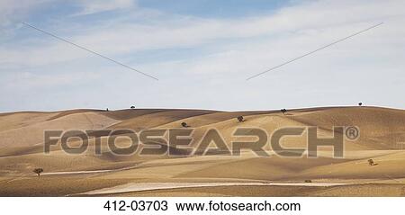 Trees growing in dry rural landscape View Large Photo Image Stock Image - Trees growing in dry rural landscape. Fotosearch