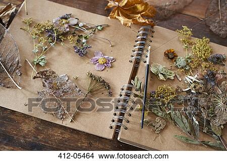 Picture - Dried flowers and herbs on notebook. Fotosearch