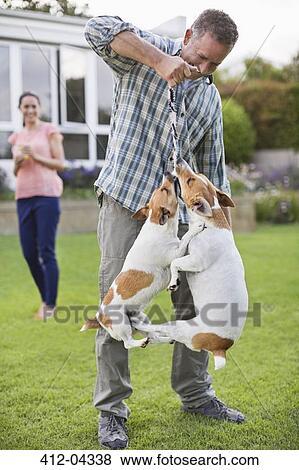 Man playing with dogs in backyard View Large Photo Image Stock Photo - Man playing with dogs in backyard. Fotosearch