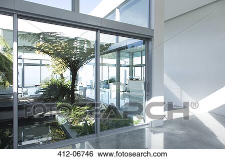 Plants growing in modern courtyard View Large Photo Image Stock Photograph - Plants growing in modern courtyard. Fotosearch