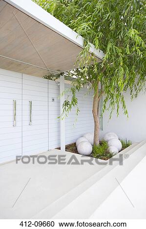 Tree in courtyard of modern house View Large Photo Image Stock Image - Tree in courtyard of modern house. Fotosearch