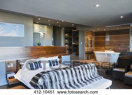 Bed And Bathtub In Modern Master Bedroom Stock Image 412