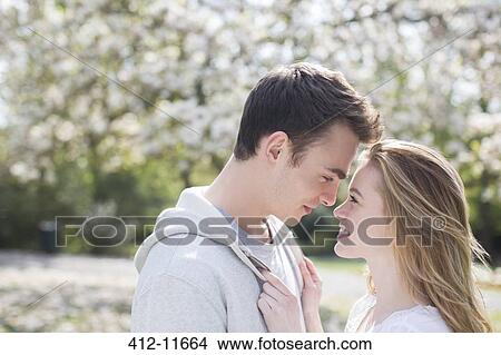 Picture - Couple hugging under tree with white blossoms. Fotosearch