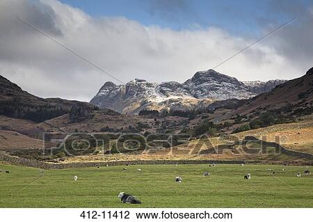 Livestock grazing in rural valley below mountains View Large Photo Image Stock Image - Livestock grazing in rural valley below mountains. Fotosearch