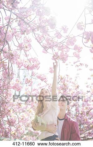 Man lifting girlfriend to reach pink flowers on tree View Large Photo Image Stock Image - Man lifting girlfriend to reach pink flowers on tree. Fotosearch