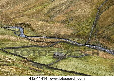 Picture - Pastures in rural landscape. Fotosearch