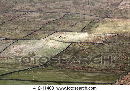 Stock Image - Pastures in rural landscape. Fotosearch
