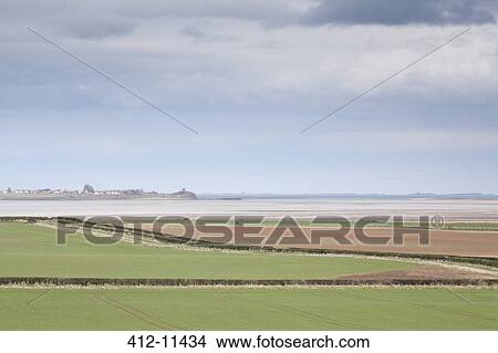 Rural pastures with ocean in background View Large Photo Image Picture - Rural pastures with ocean in background. Fotosearch