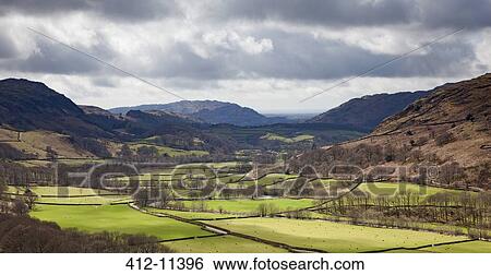 Trees and pastures in rural landscape View Large Photo Image Stock Photograph - Trees and pastures in rural landscape. Fotosearch