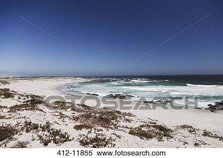 Waves rolling up on sandy beach View Large Photo Image Stock Photography - Waves rolling up on sandy beach. Fotosearch