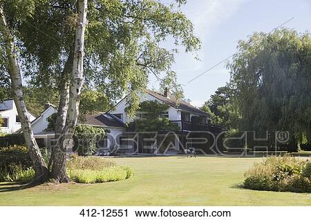 Trees in backyard of house View Large Photo Image Stock Image - Trees in backyard of house. Fotosearch