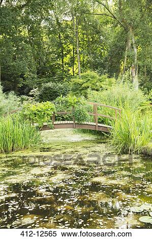 Wooden footbridge over pond View Large Photo Image Stock Photography - Wooden footbridge over pond. Fotosearch