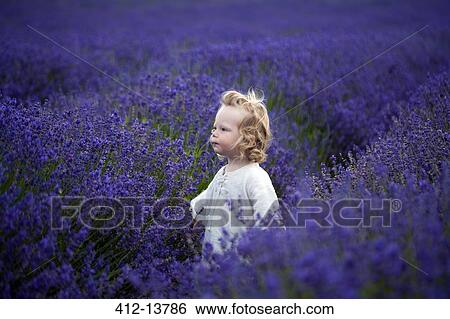 Stock Photograph - Boy walking in field of lavender. Fotosearch