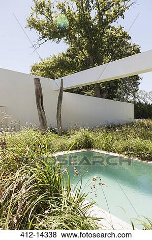Grass growing around luxury lap pool View Large Photo Image Stock Photo - Grass growing around luxury lap pool. Fotosearch