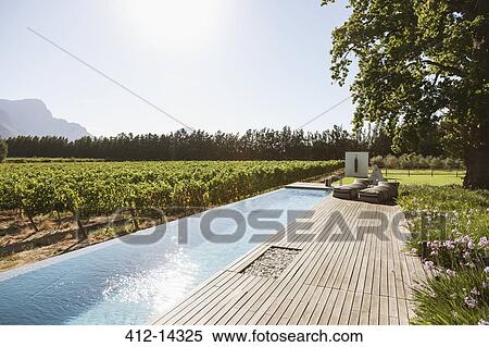 Luxury lap pool among garden and vineyard View Large Photo Image Stock Photography - Luxury lap pool among garden and vineyard. Fotosearch